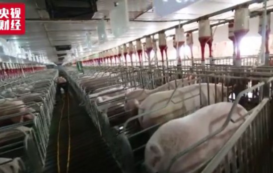 国家发改委启动价格补贴，已发20亿！重点支持种猪场、规模场恢复和扩大产能