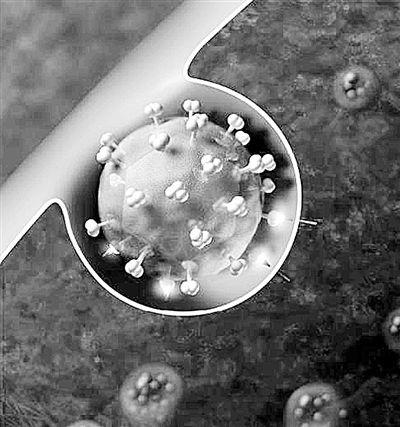 美利用基因剪辑技术成功清除了潜在艾滋病病毒